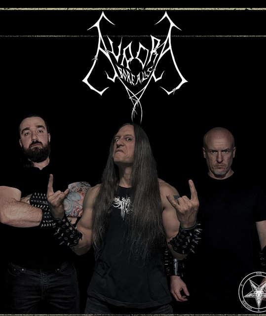 Aurora Borealis poster