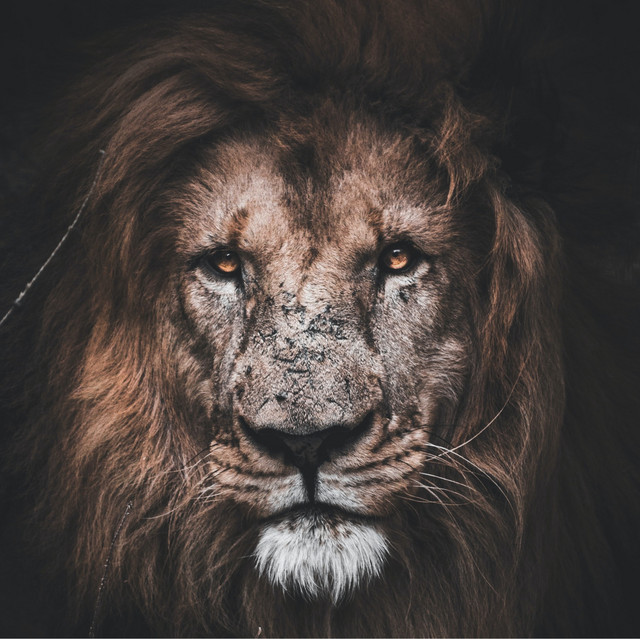 Better Country Soaking Worship poster