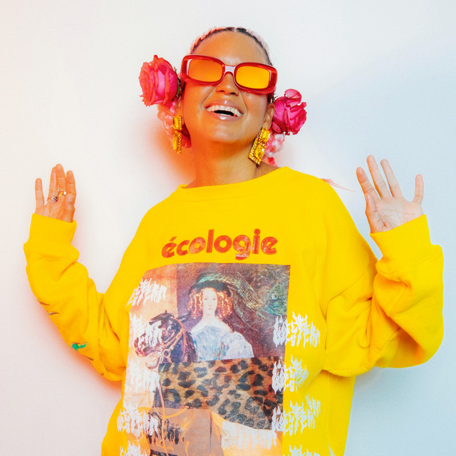 Bomba Estéreo poster