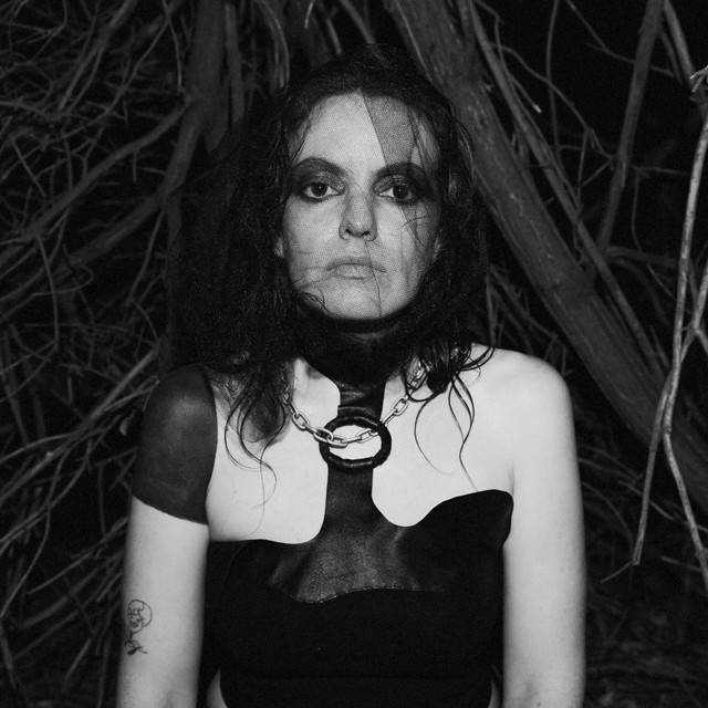 Lana Del Rabies poster