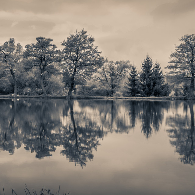 Stillness Sanctuary poster